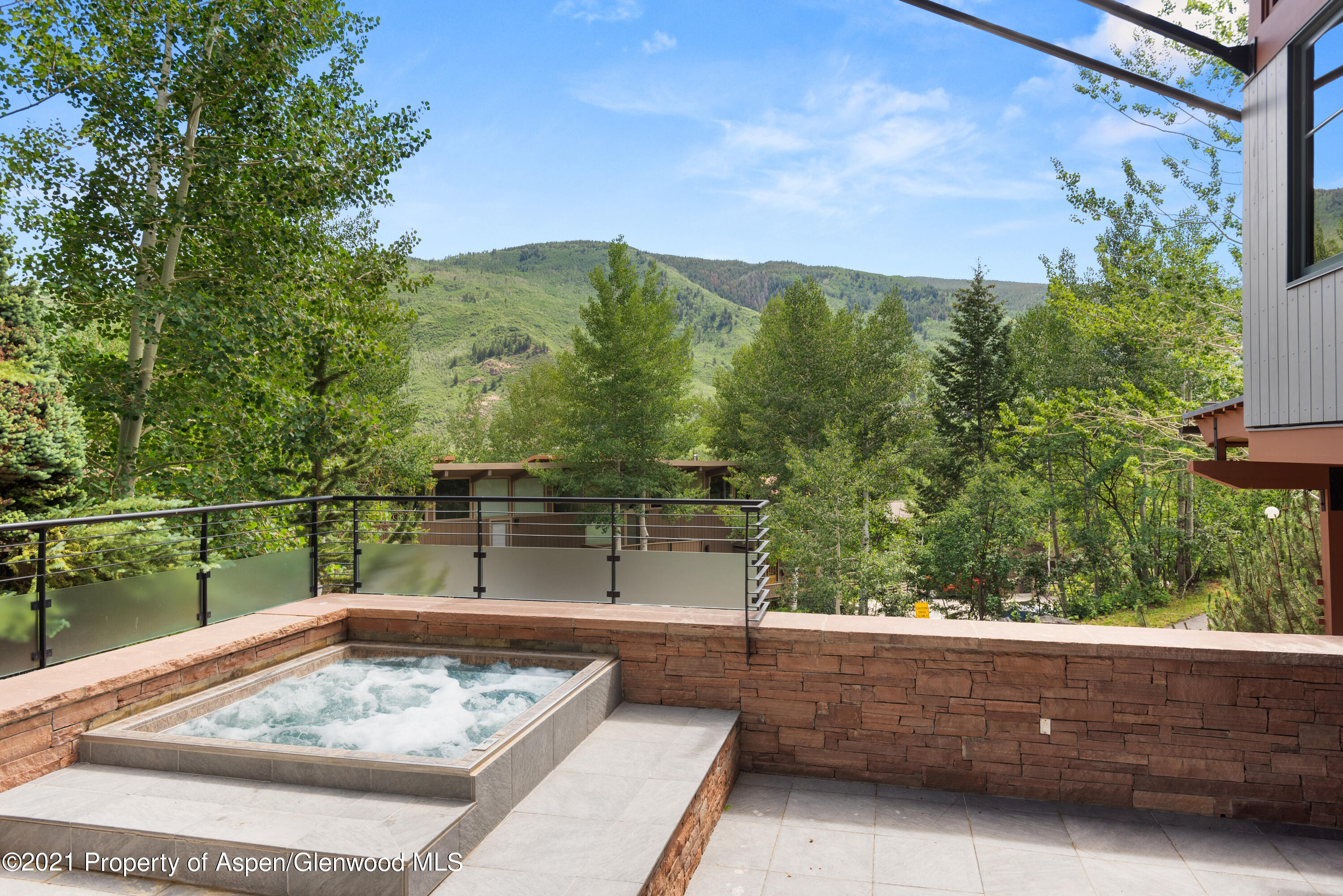 550 Aspen Alps Road South Aspen, CO 81611 - Photo 9 of 58 a view of a small pool