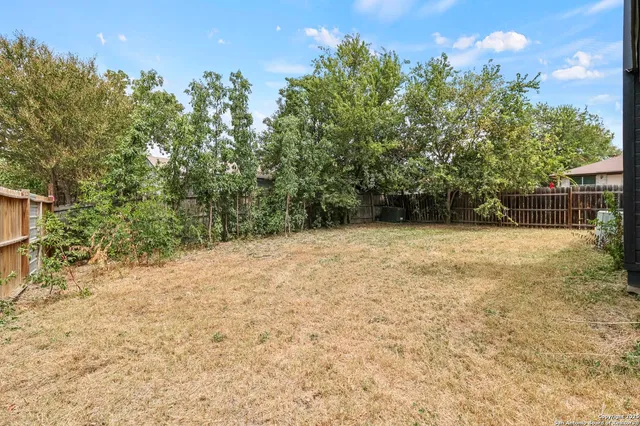 a view of backyard with tree