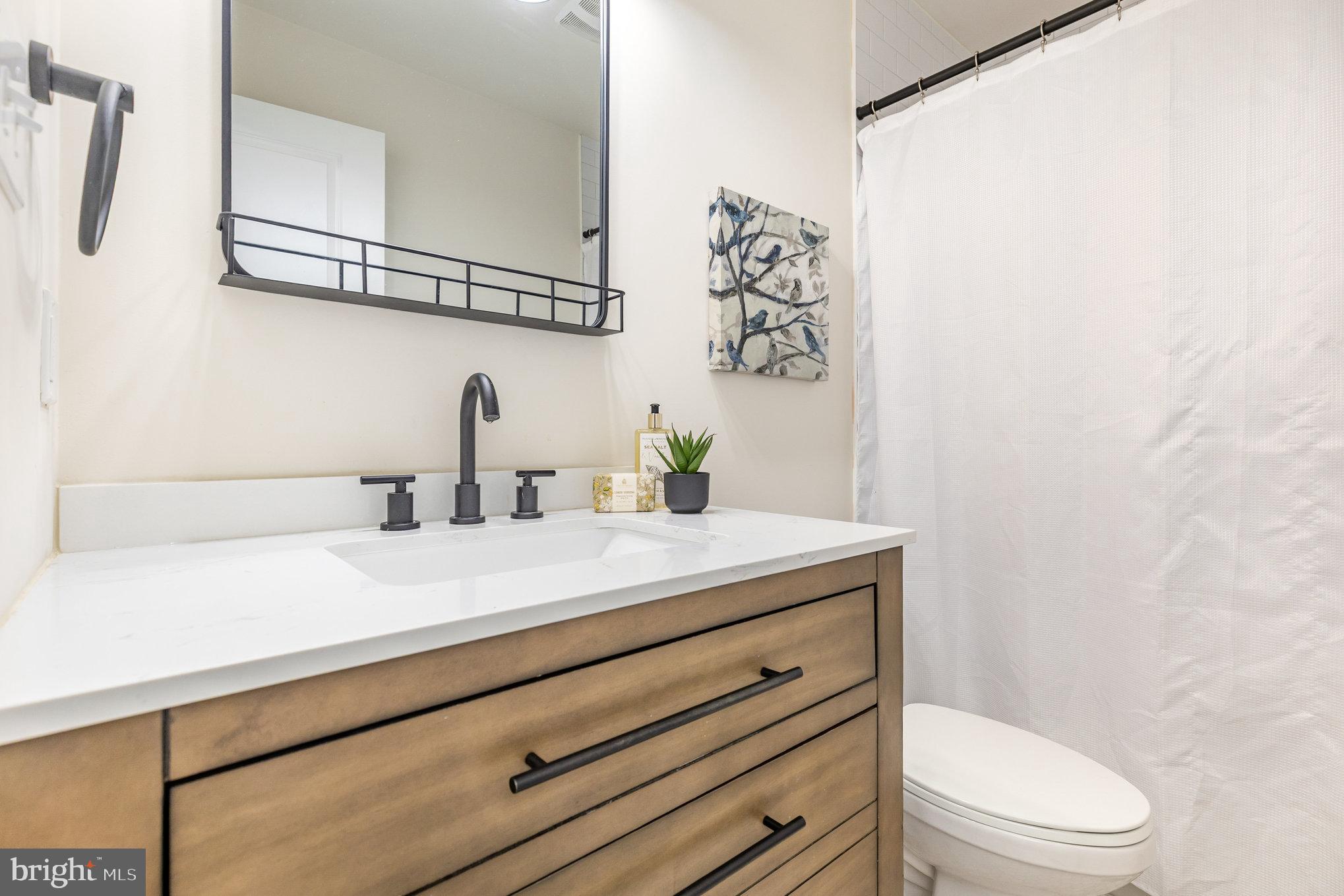 5224 Pendleton Farm Road Bumpass, VA 23024 - Photo 28 of 31 a bathroom with a sink a toilet and mirror