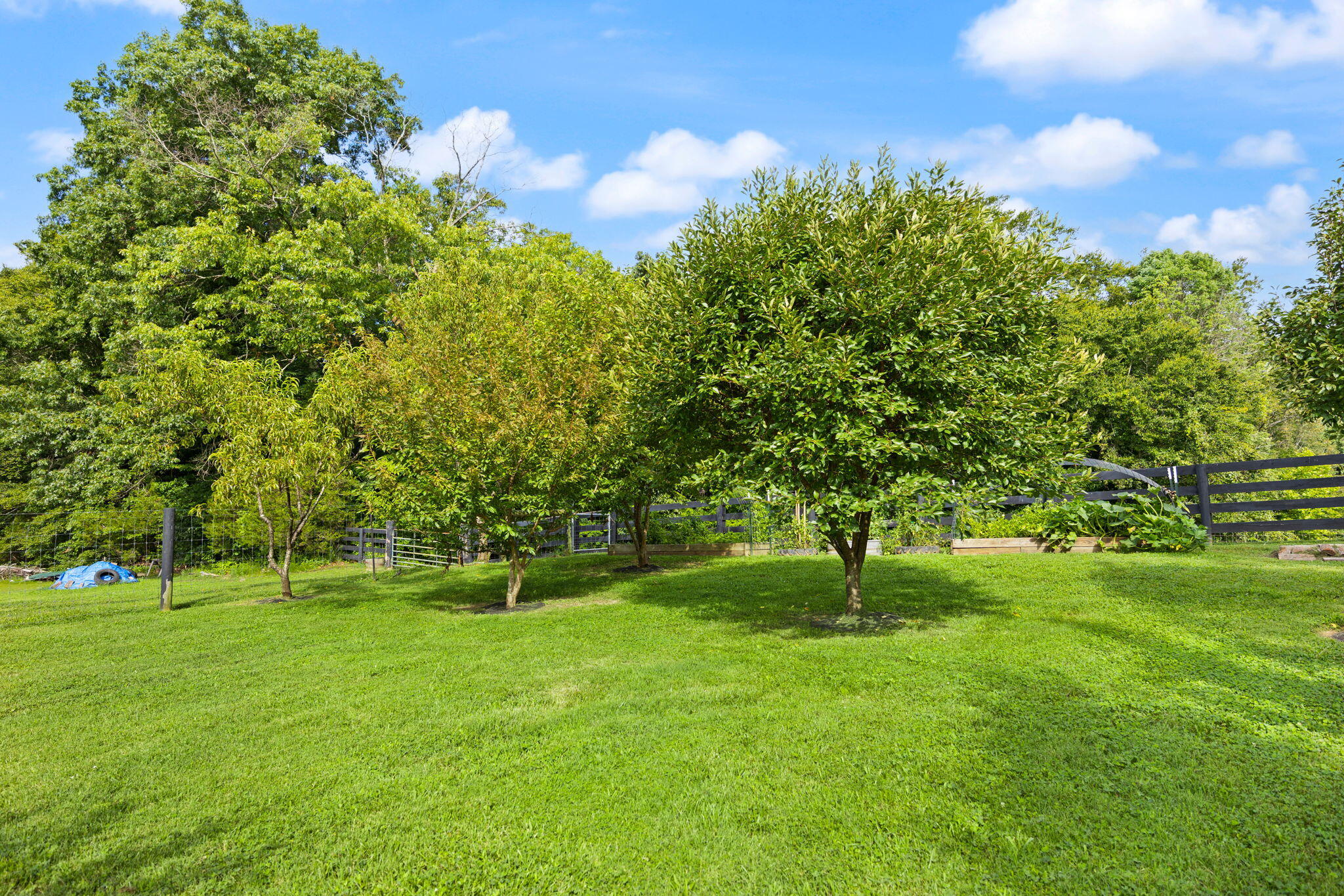 1310 Hopefull School Road Nancy, KY 42544 - Photo 82 of 84 42-web-or-mls-413A4867