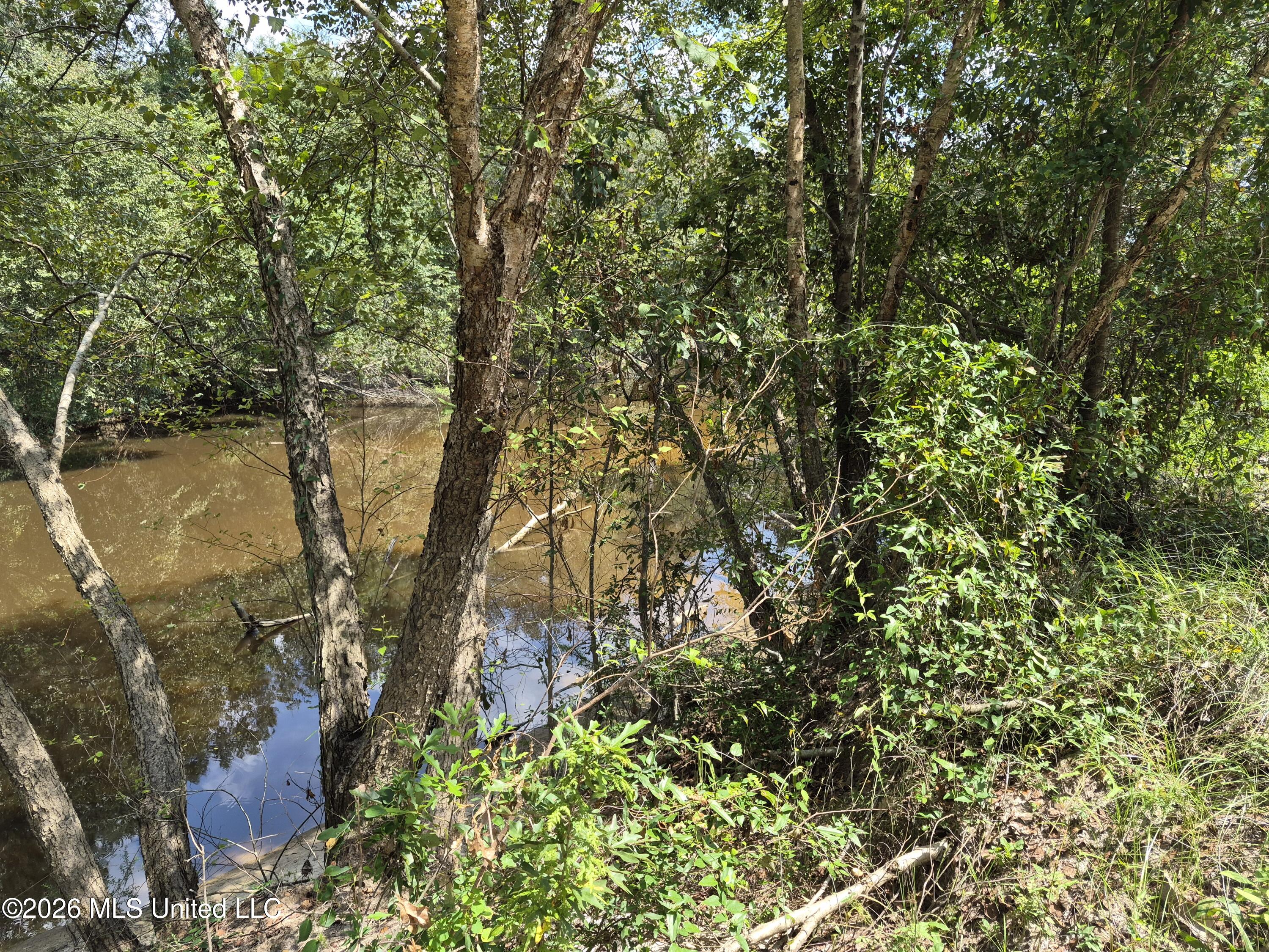13756 River Road Gulfport, MS 39503 - Photo 21 of 93 Water Frontage