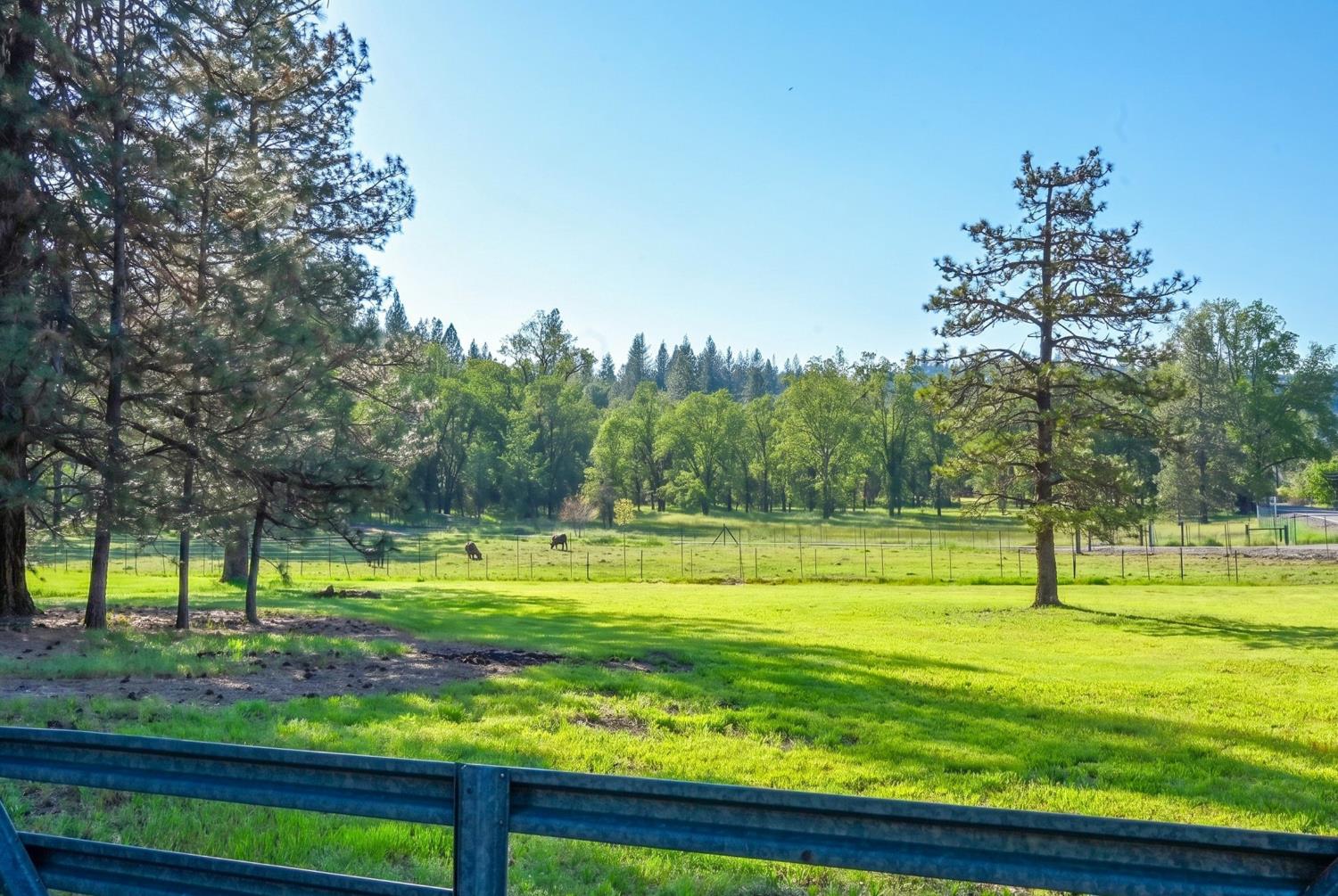 4360 Pleasant Valley Road Placerville, CA 95667 - Photo 71 of 71