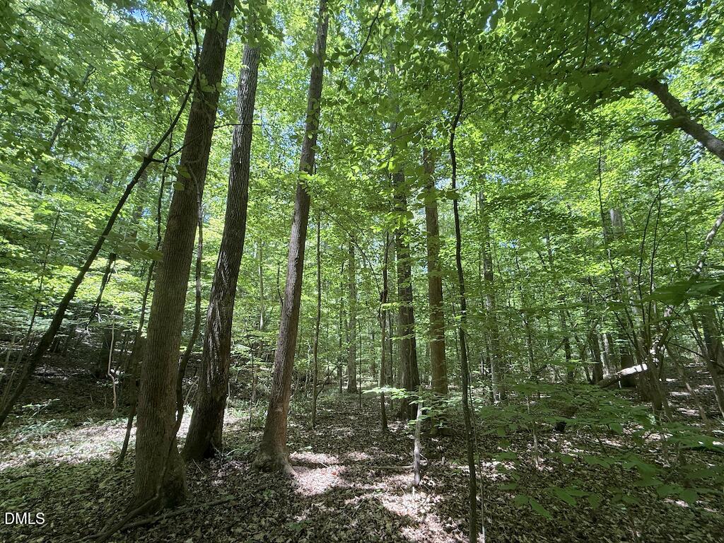 0 Buttonwood Lane Roxboro, NC 27574 - Photo 13 of 36