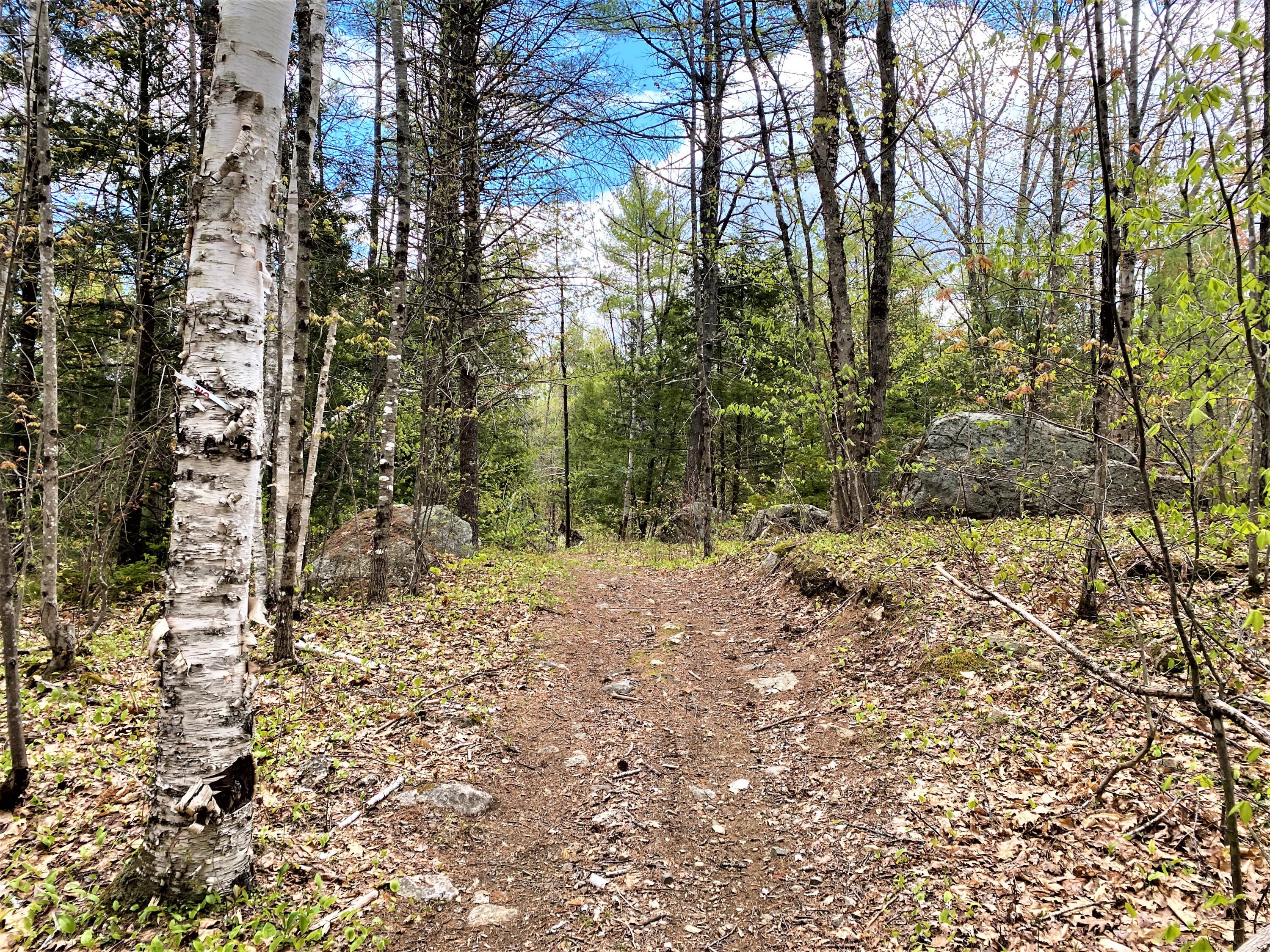 0 Libby Road, Unit LOT #1 West Newfield, ME 04095 - Photo 13 of 14 IMG_13662