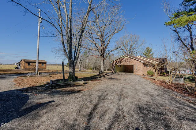 a tall tree sitting in front of a house
