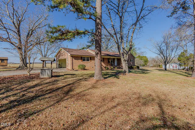 a view of a yard with a large tree
