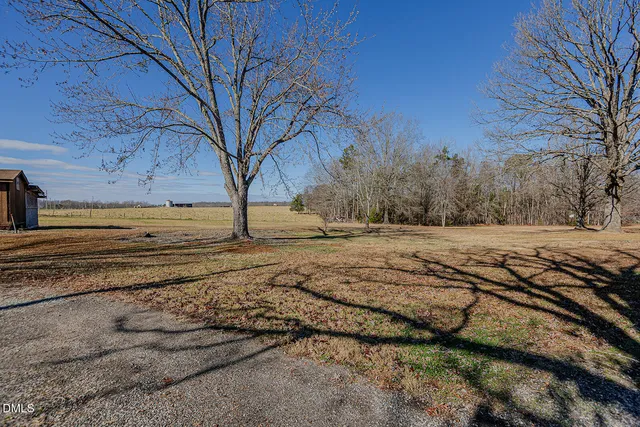 a view of dirt yard with a large tree