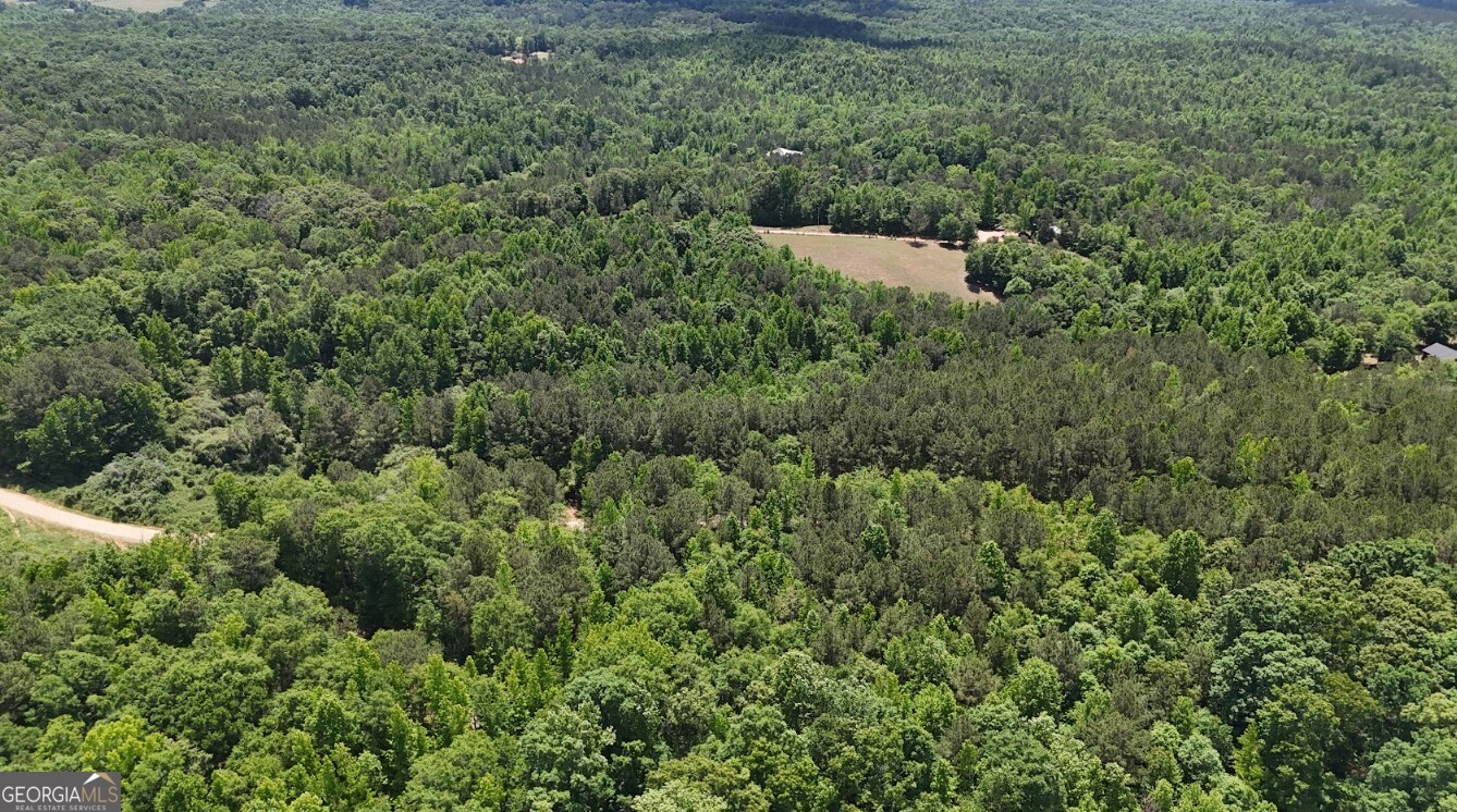 0 Creek Road, Unit LOT 2 Ashland, AL 36251 - Photo 13 of 20