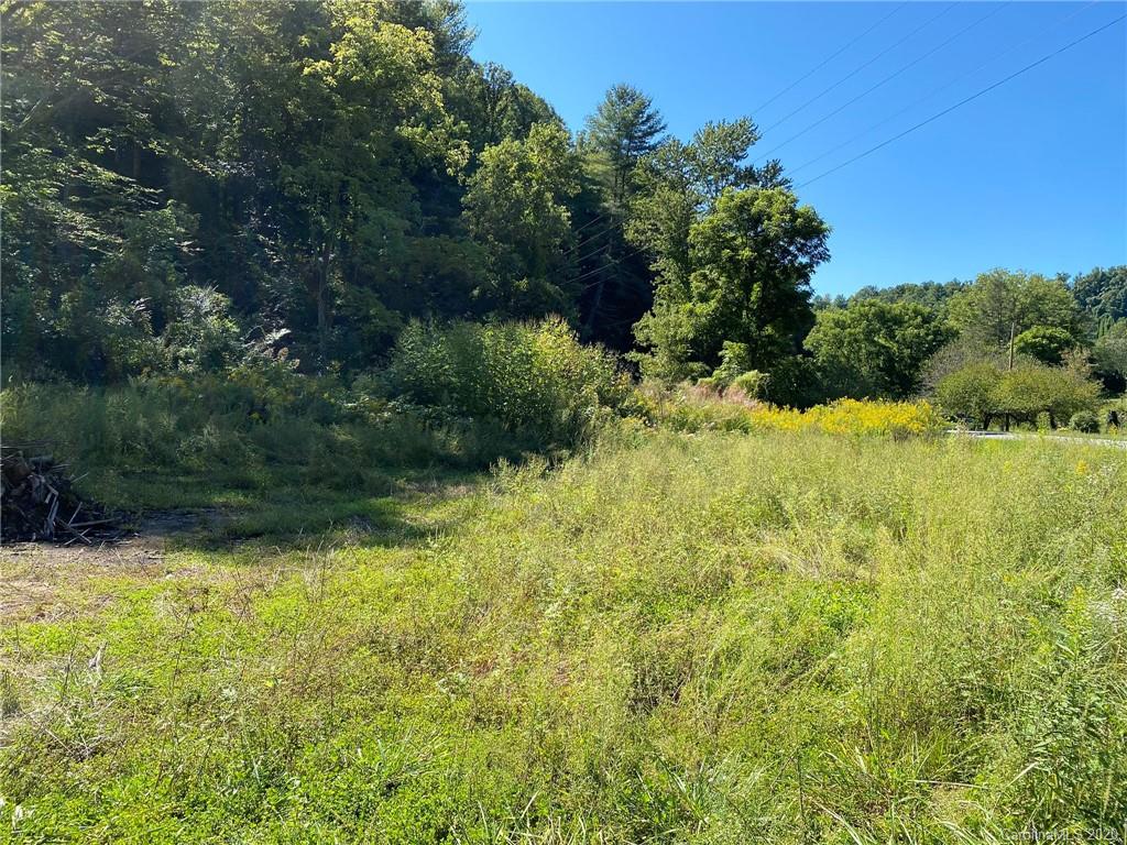 Tbd East Fork Road Marshall, NC 28753 - Photo 1 of 26 Gallery Image 1