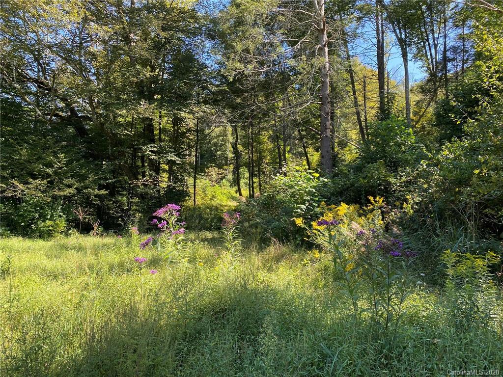 Tbd East Fork Road Marshall, NC 28753 - Photo 13 of 26 Gallery Image 13