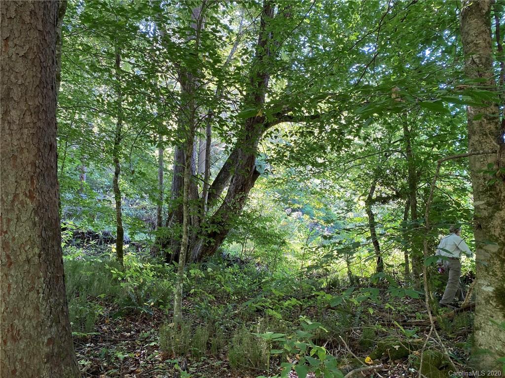 Tbd East Fork Road Marshall, NC 28753 - Photo 18 of 26 Gallery Image 18