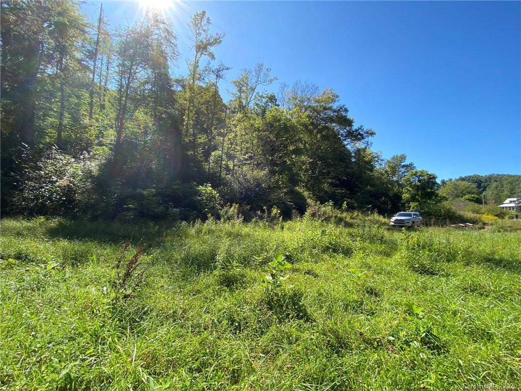 Tbd East Fork Road Marshall, NC 28753 - Photo 19 of 26 Gallery Image 19