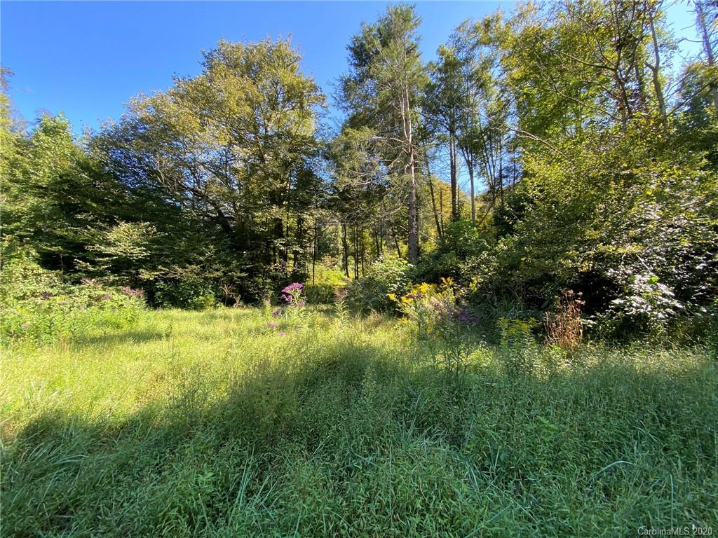 Tbd East Fork Road Marshall, NC 28753 - Photo 3 of 26 Gallery Image 3