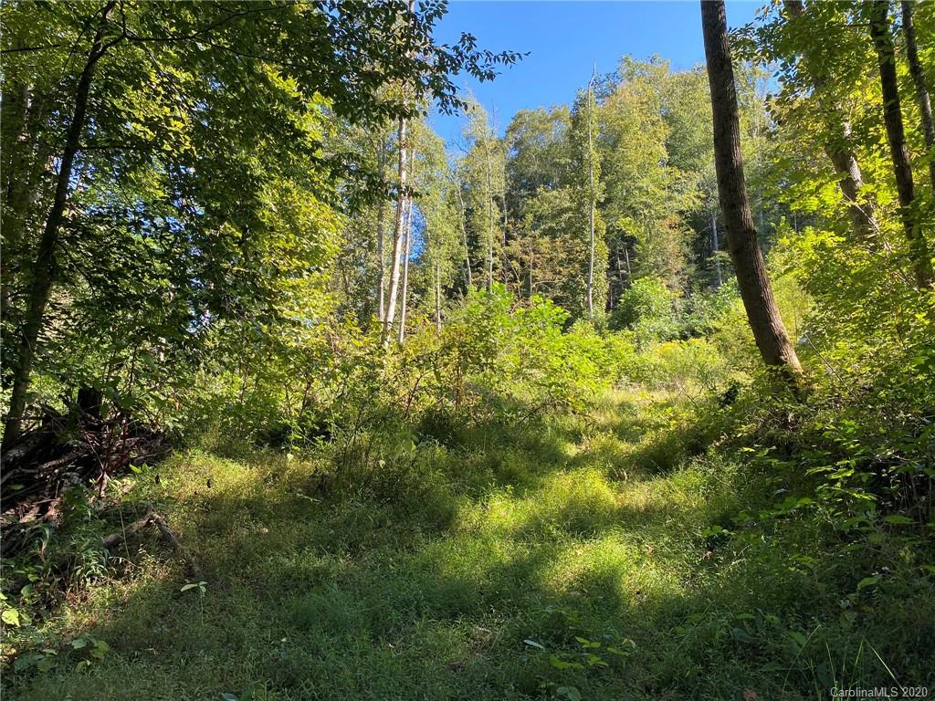 Tbd East Fork Road Marshall, NC 28753 - Photo 23 of 26 Gallery Image 23