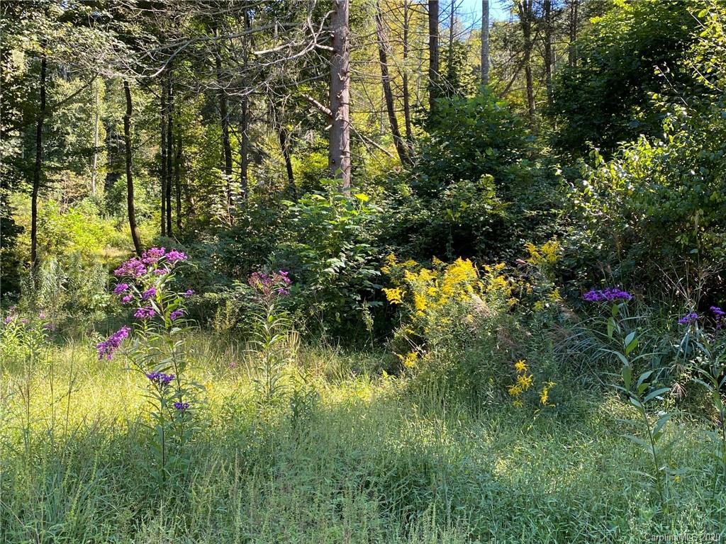 Tbd East Fork Road Marshall, NC 28753 - Photo 24 of 26 Gallery Image 24