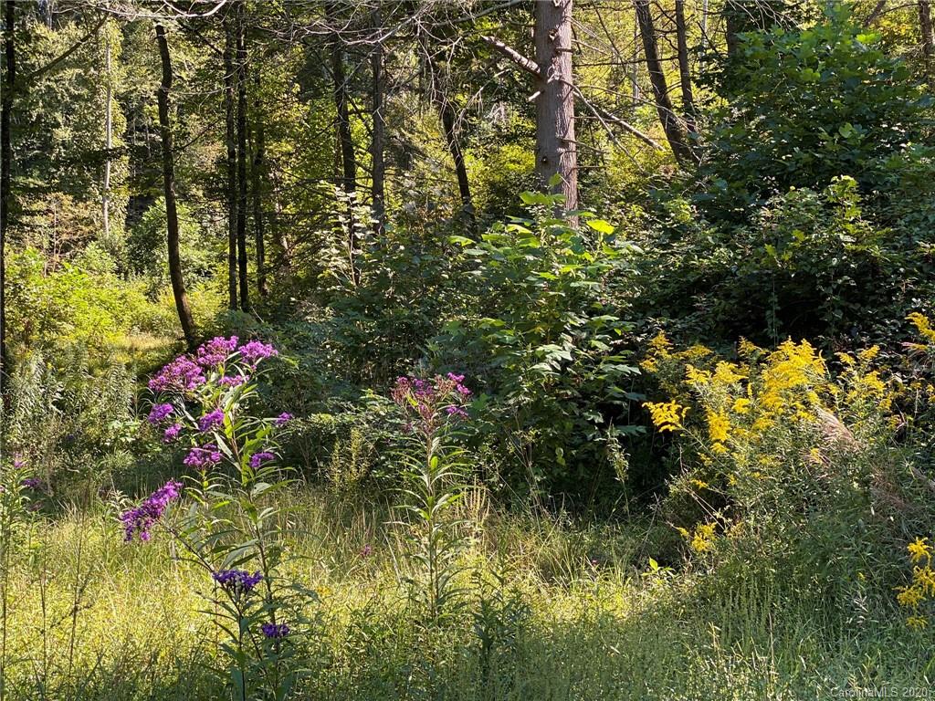 Tbd East Fork Road Marshall, NC 28753 - Photo 26 of 26 Gallery Image 26