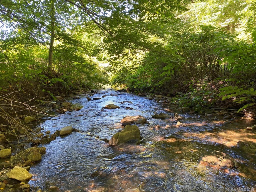 Tbd East Fork Road Marshall, NC 28753 - Photo 4 of 26 Gallery Image 4