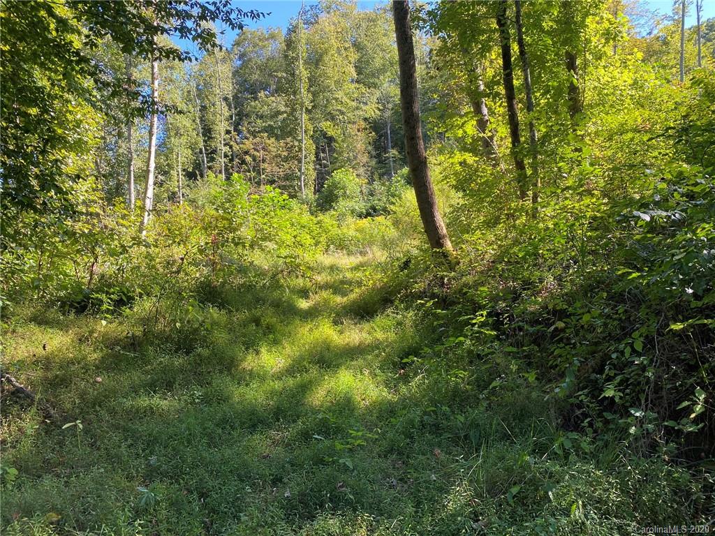Tbd East Fork Road Marshall, NC 28753 - Photo 5 of 26 Gallery Image 5