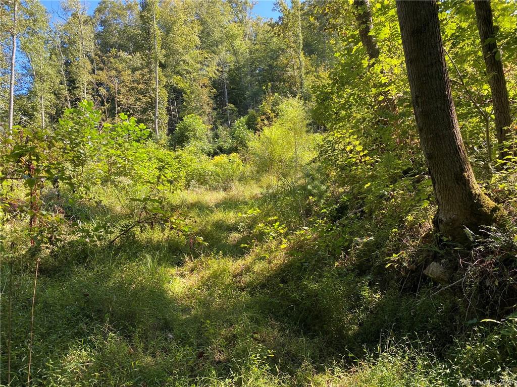 Tbd East Fork Road Marshall, NC 28753 - Photo 6 of 26 Gallery Image 6