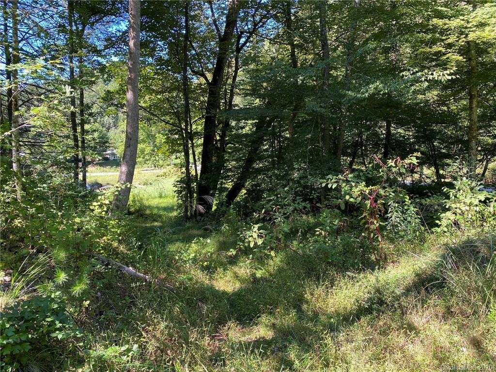 Tbd East Fork Road Marshall, NC 28753 - Photo 10 of 26 Gallery Image 10