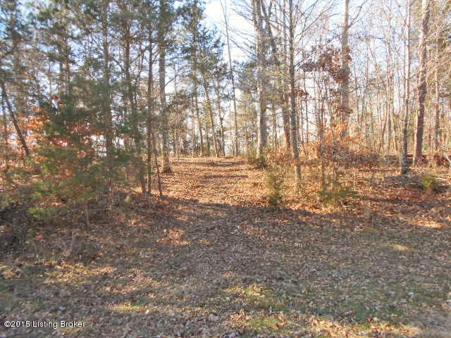 3200 Patton Road Boston, KY 40107 - Photo 32 of 36 ATV Trails