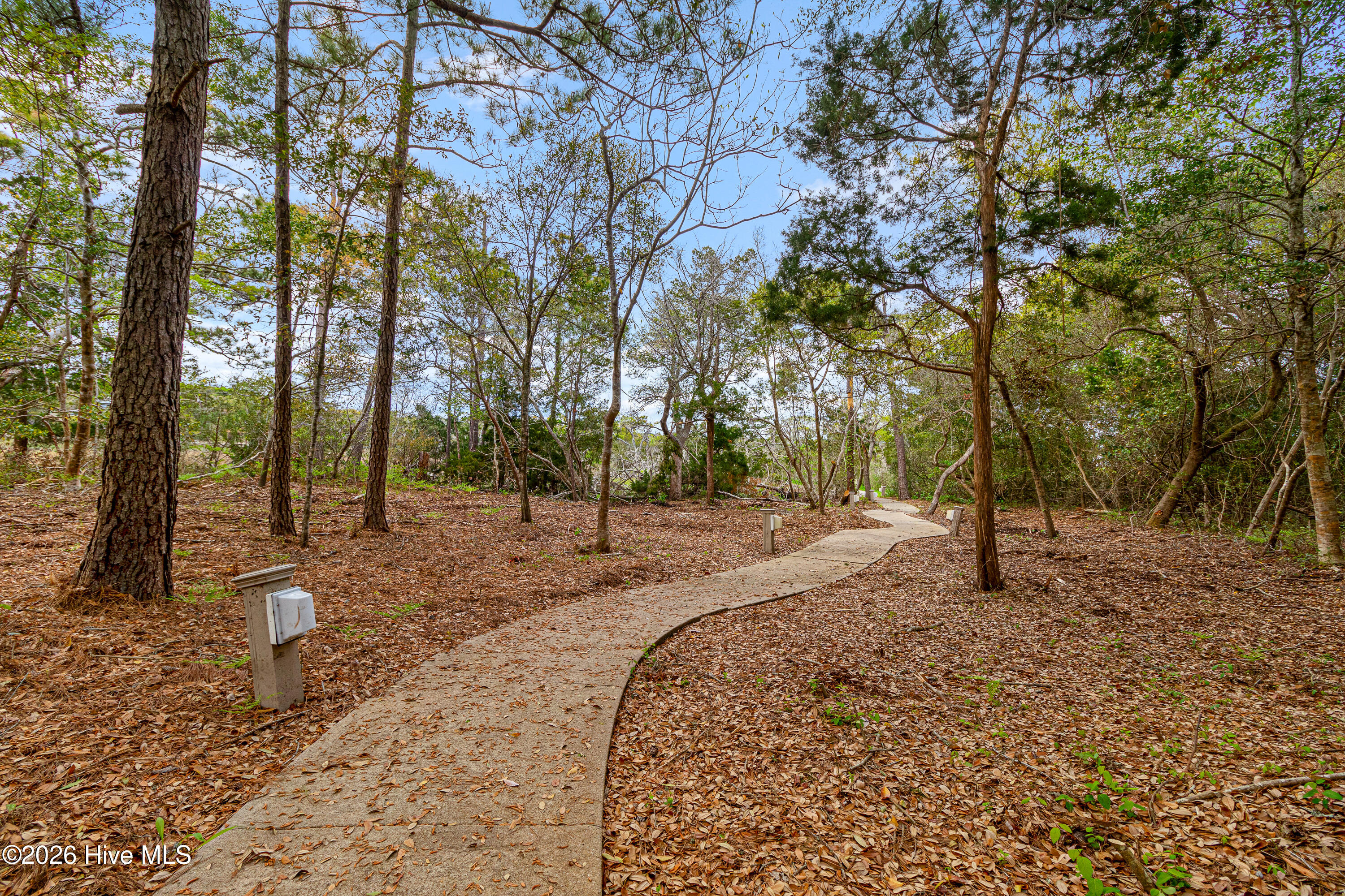 2308 West Fort Macon Road, Unit 302H Atlantic Beach, NC 28512 - Photo 52 of 61 Walking trail to pier