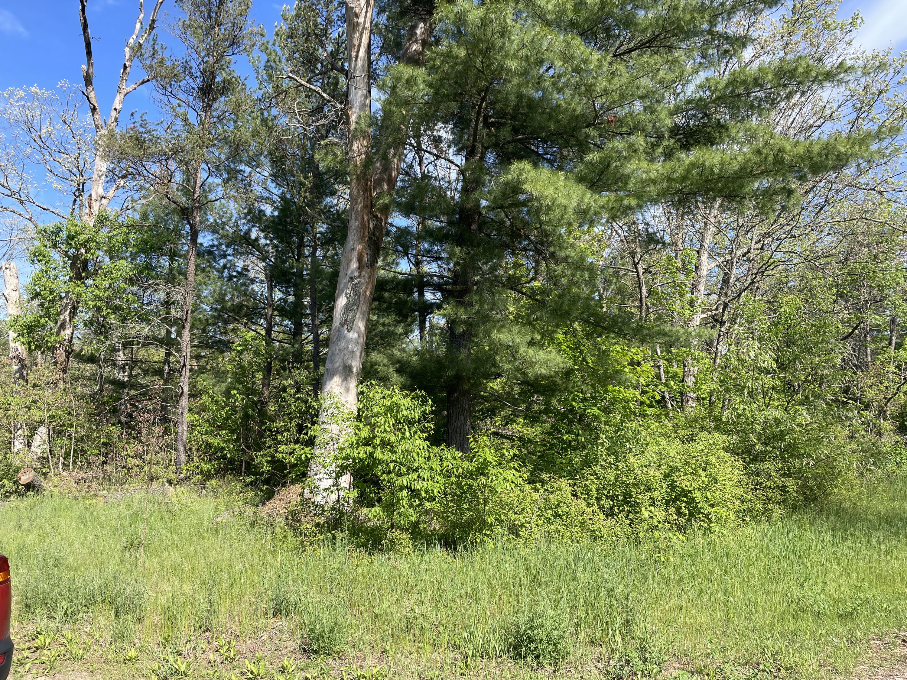 Vl South Forman Road Idlewild, MI 49642 - Photo 1 of 7 Actual Lot