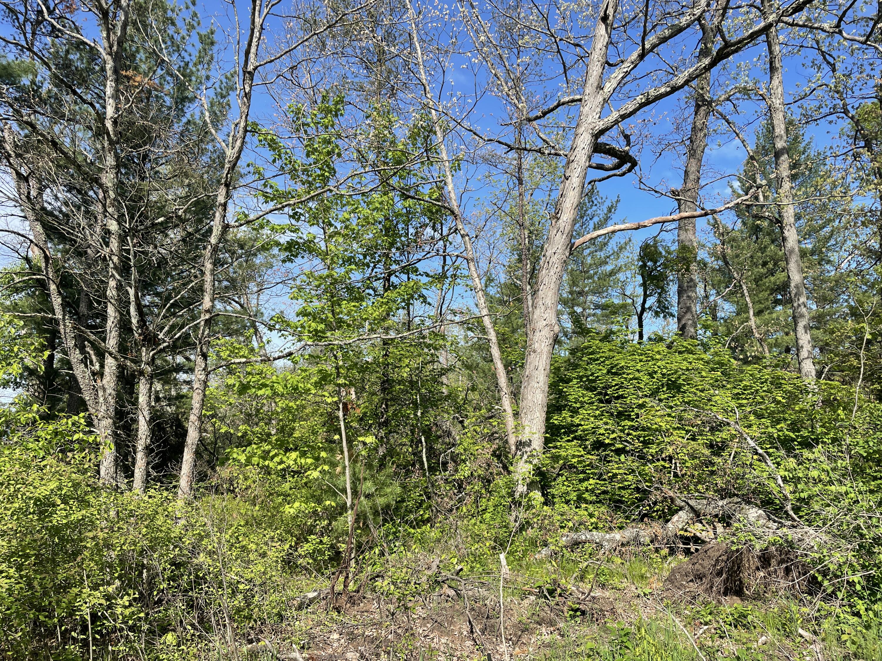 Vl South Forman Road Idlewild, MI 49642 - Photo 2 of 7 Actual Lot
