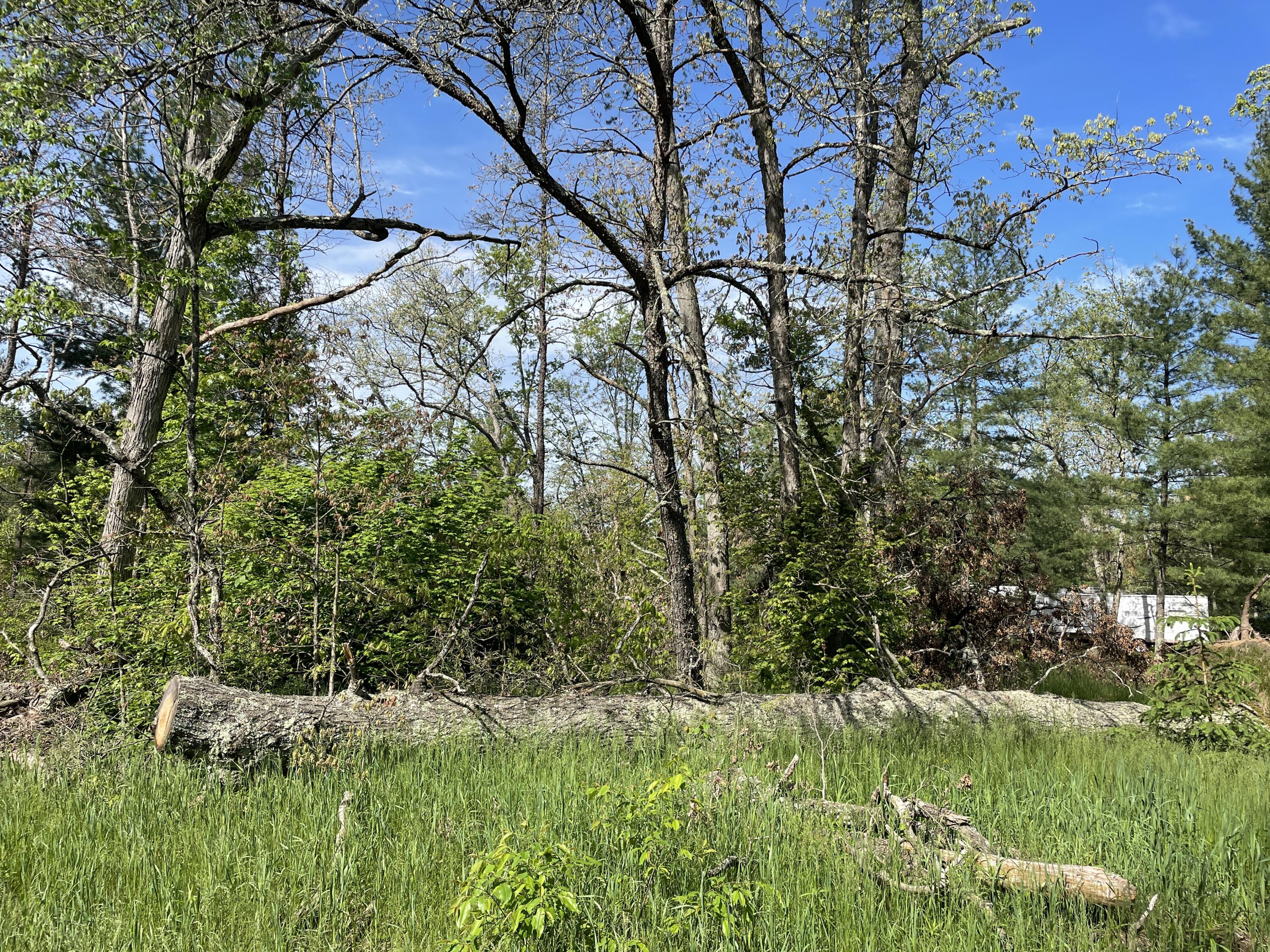 Vl South Forman Road Idlewild, MI 49642 - Photo 3 of 7 Actual Lot