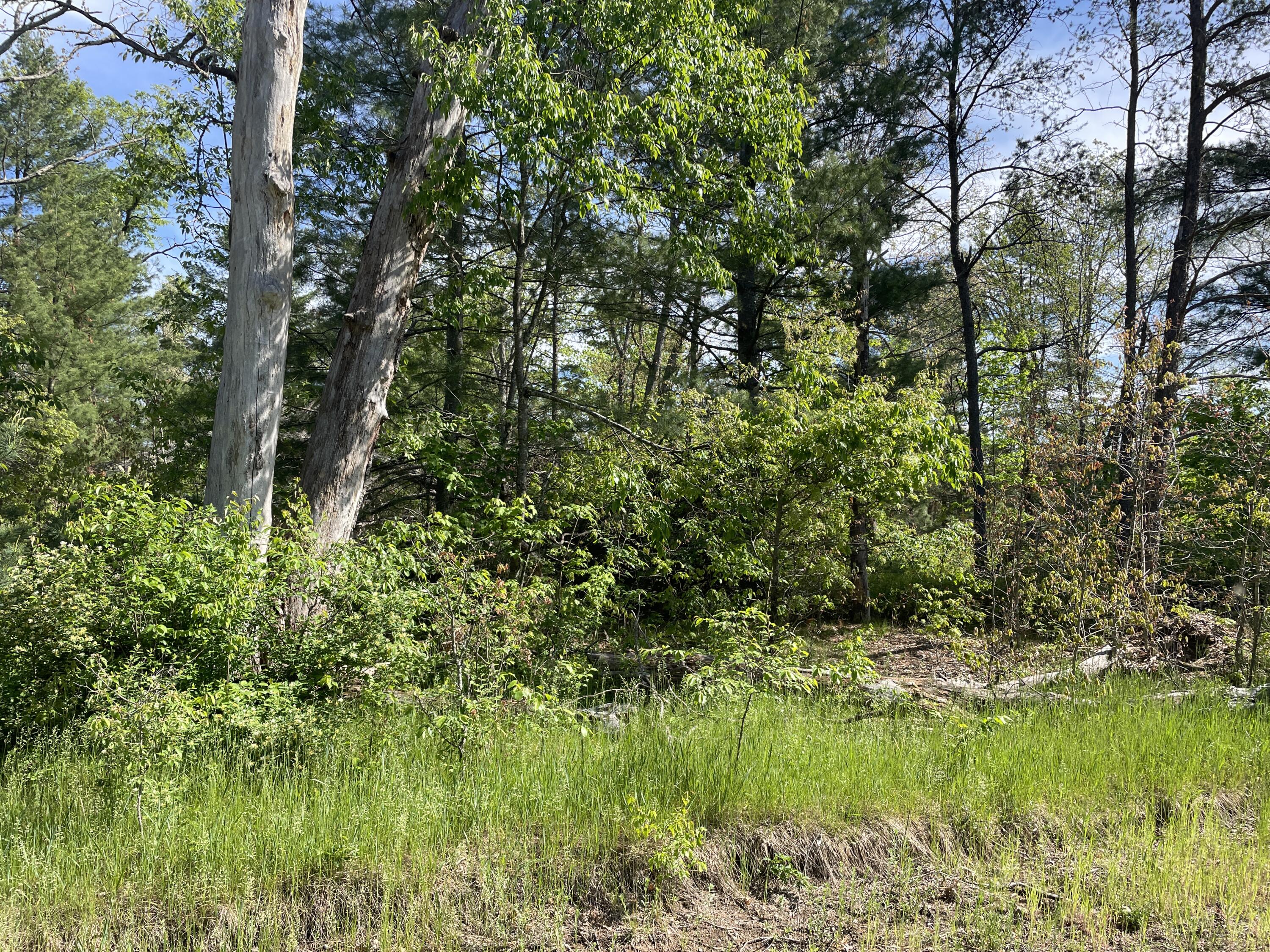 Vl South Forman Road Idlewild, MI 49642 - Photo 4 of 7 Actual Lot