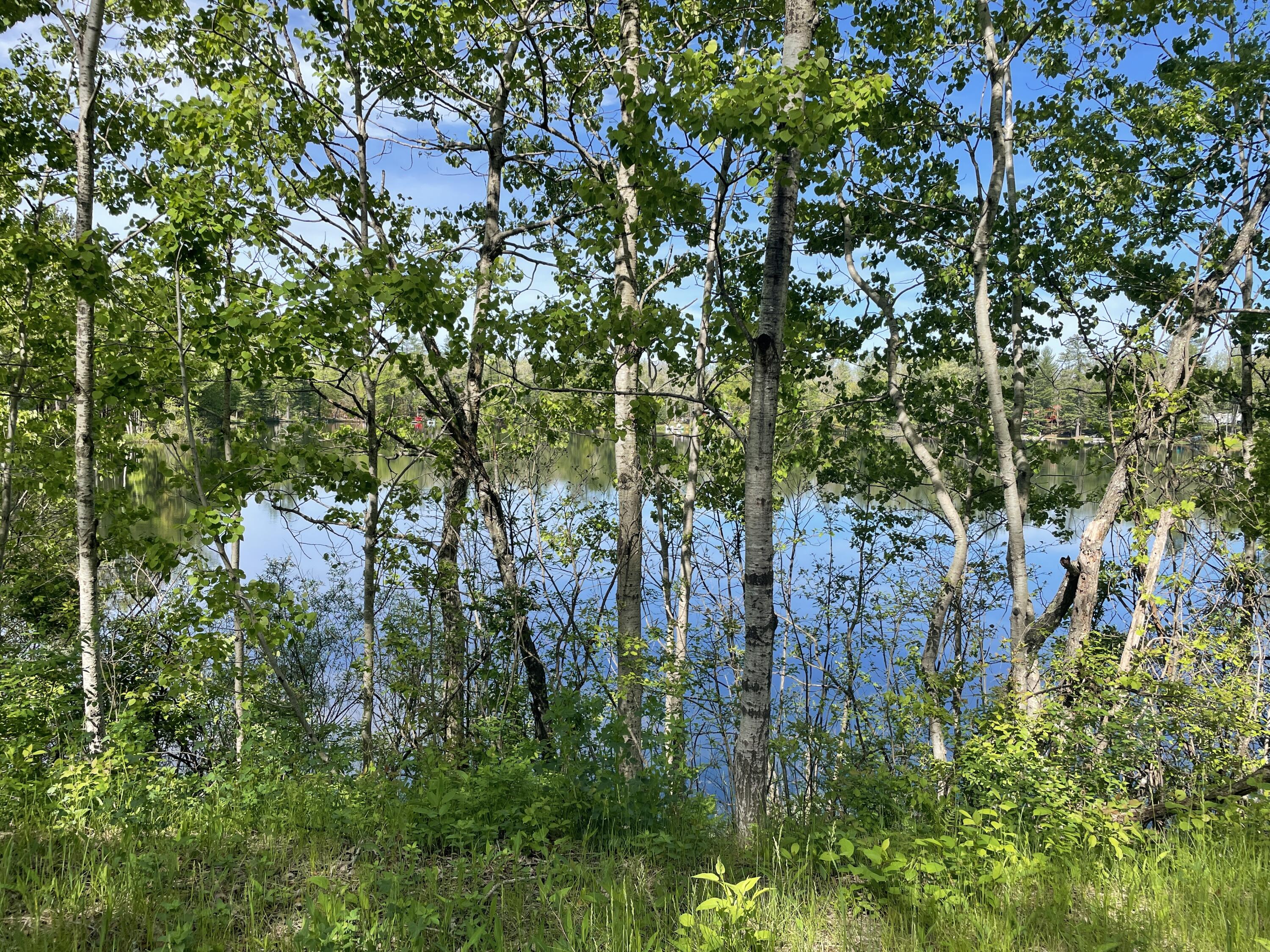 Vl South Forman Road Idlewild, MI 49642 - Photo 5 of 7 Small Lake Down the Street