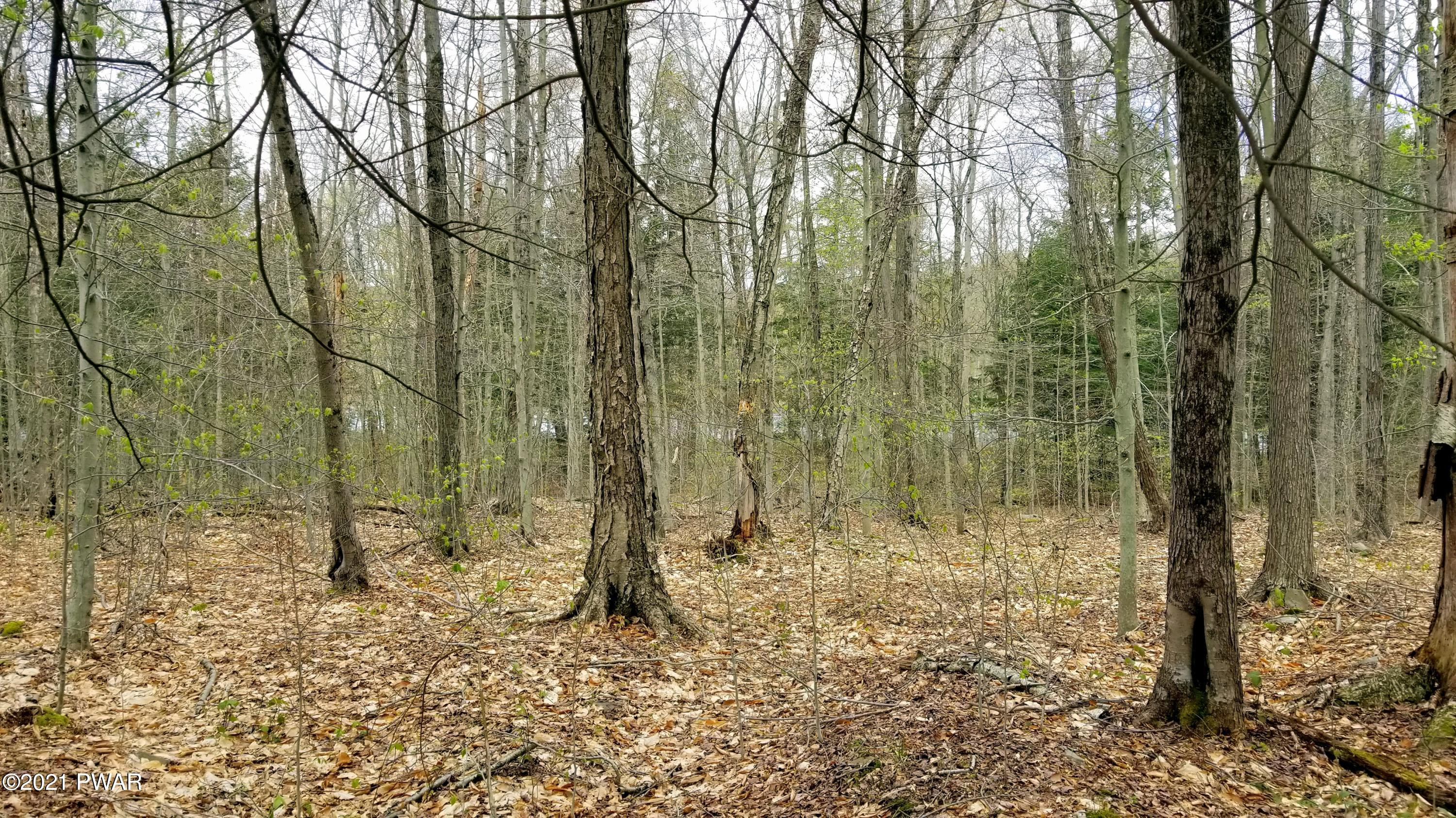 Lot 80 Stonegate Road Equinunk, PA 18417 - Photo 27 of 58