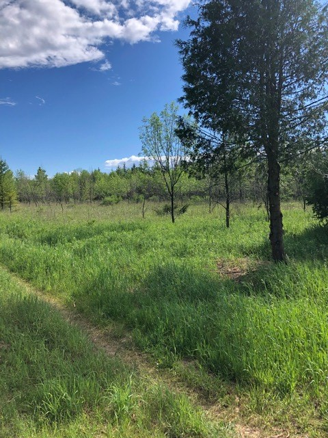Lot 3 Plum Bottom Road Egg Harbor, WI 54209 - Photo 2 of 4