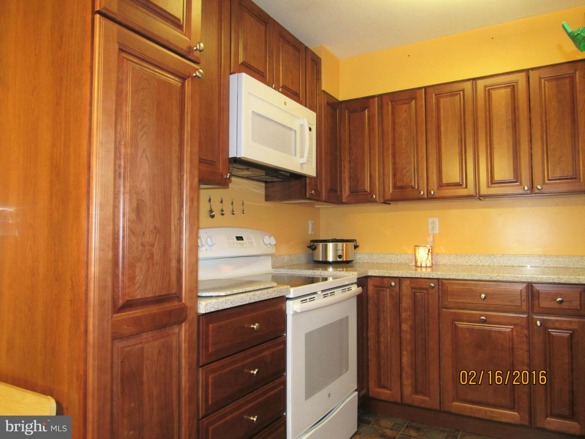 386 Tonys Road Elkton, MD 21921 - Photo 2 of 21 Kitchen