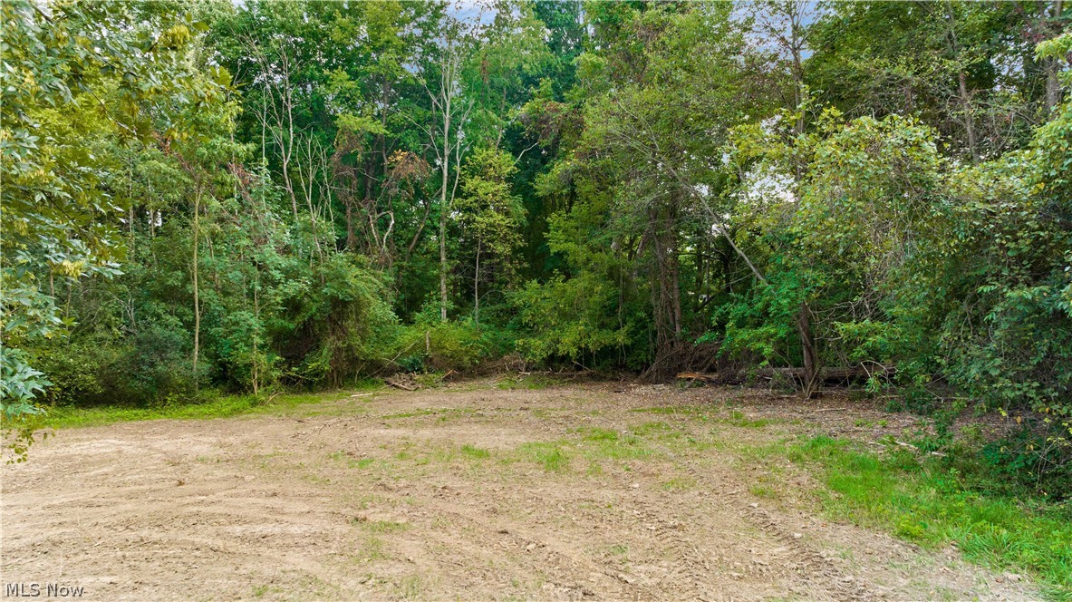 Whitman Road Doylestown, OH 44230 - Photo 12 of 16 Gallery Image 12