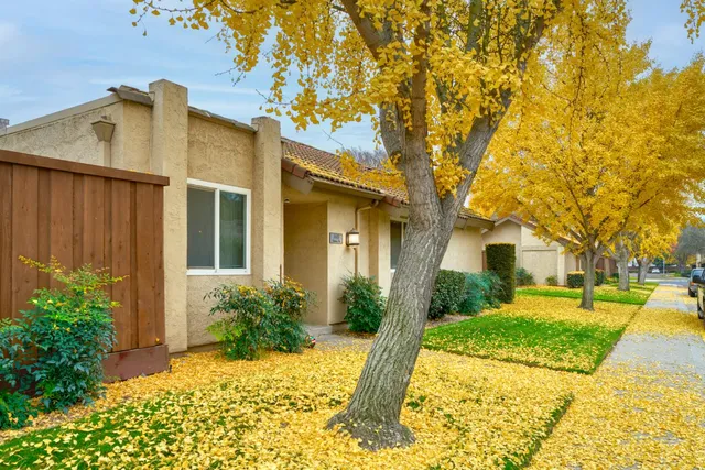 a front view of a house with a yard and potted plants