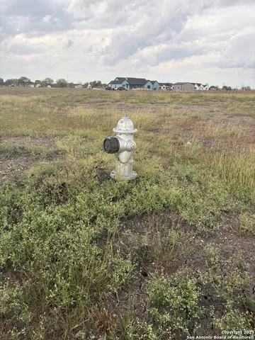 a view of a lake from a yard