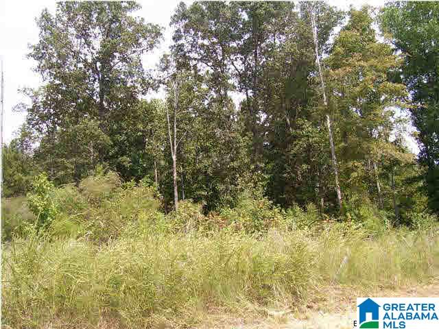 Alabama Avenue, Unit 17 Oneonta, AL 35121 - Photo 3 of 3