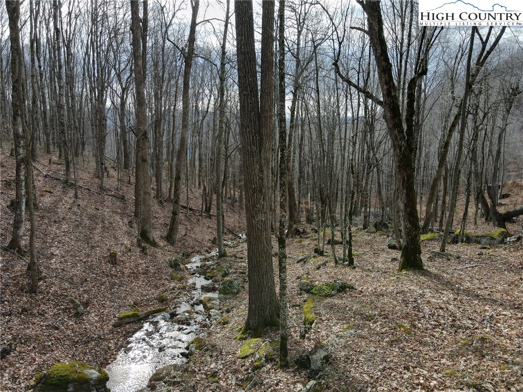 G54 Sky Camp Road Banner Elk, NC 28604 - Photo 5 of 20 a view of a backyard with trees