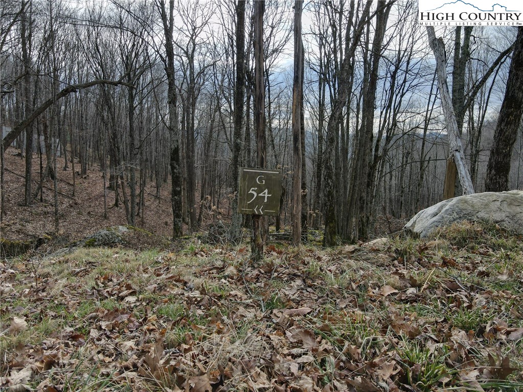 G54 Sky Camp Road Banner Elk, NC 28604 - Photo 6 of 20 a view of a backyard of the house
