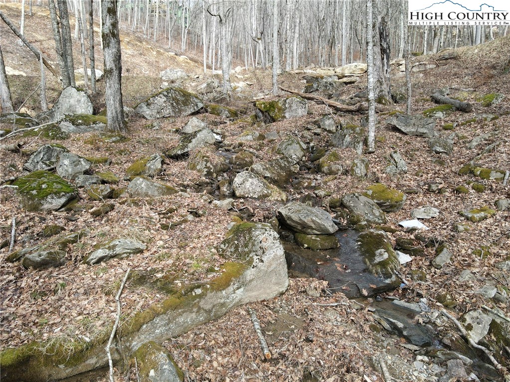G54 Sky Camp Road Banner Elk, NC 28604 - Photo 7 of 20 a view of a yard with plants and wooden fence