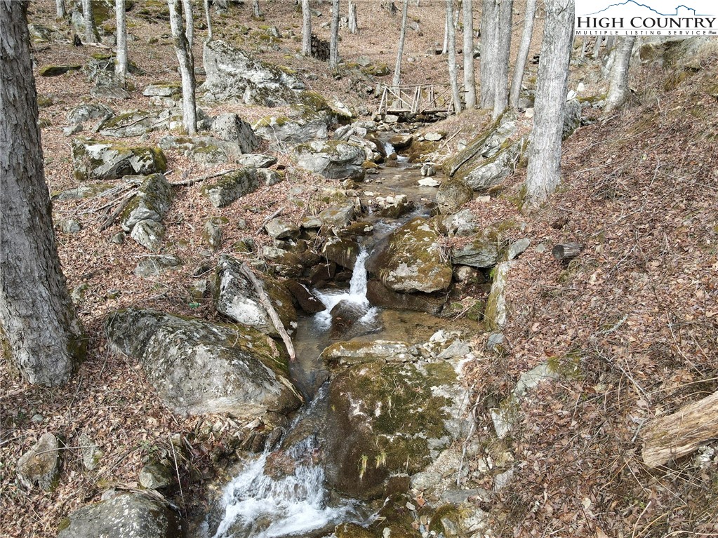 G54 Sky Camp Road Banner Elk, NC 28604 - Photo 9 of 20 a picture of a tree