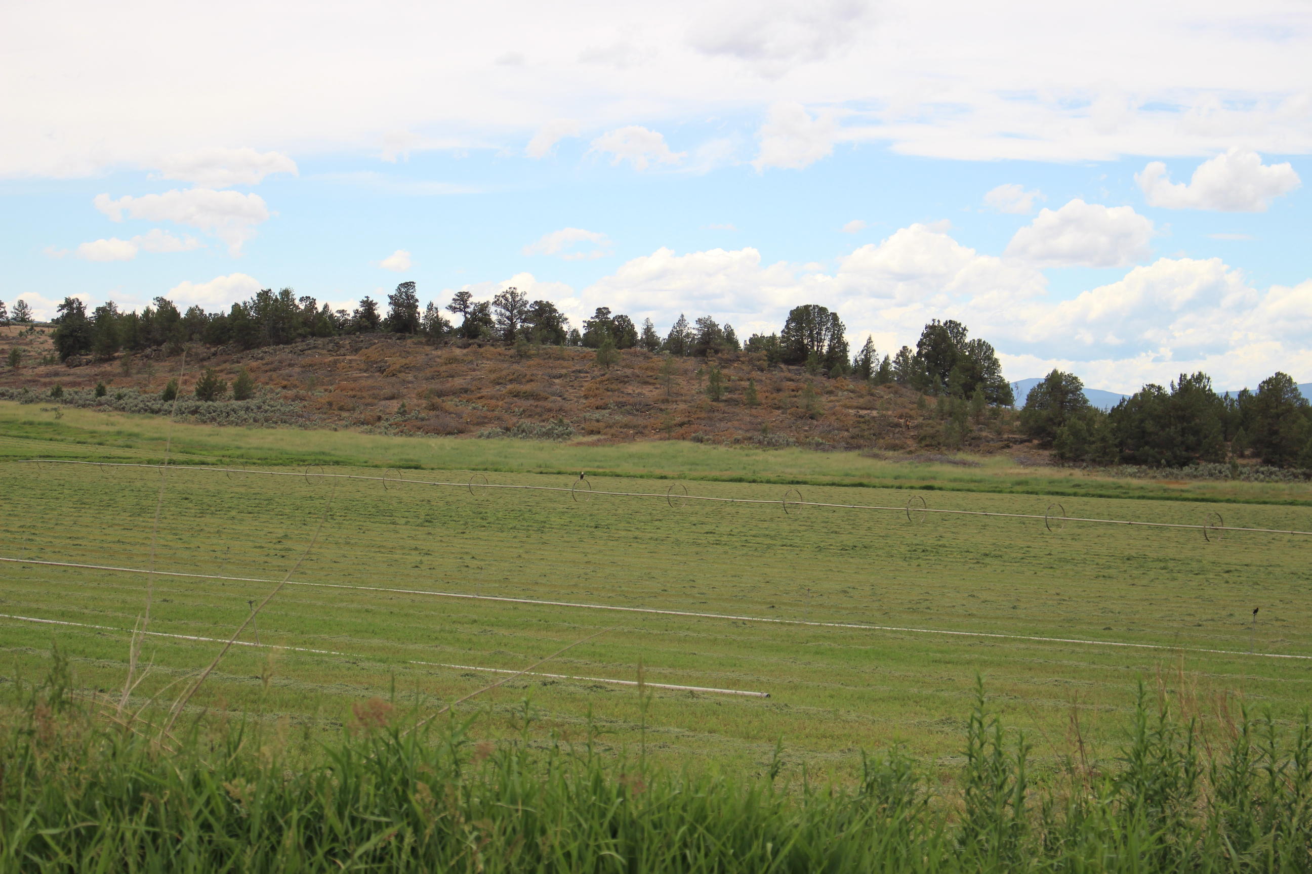 21660 Pope Road Merrill, OR 97633 - Photo 17 of 23 IMG_2762