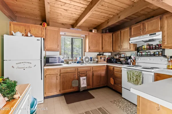 a kitchen with a sink appliances cabinets and a potted plant