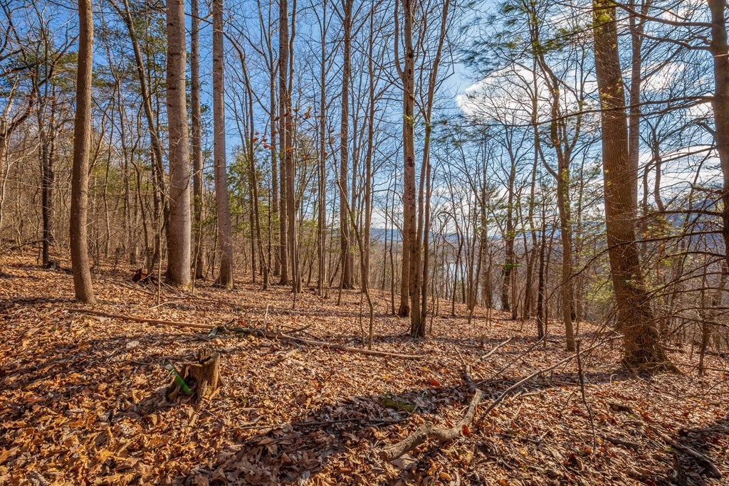 349 Baker Island Road Max Meadows, VA 24360 - Photo 65 of 75 Gallery Image 65