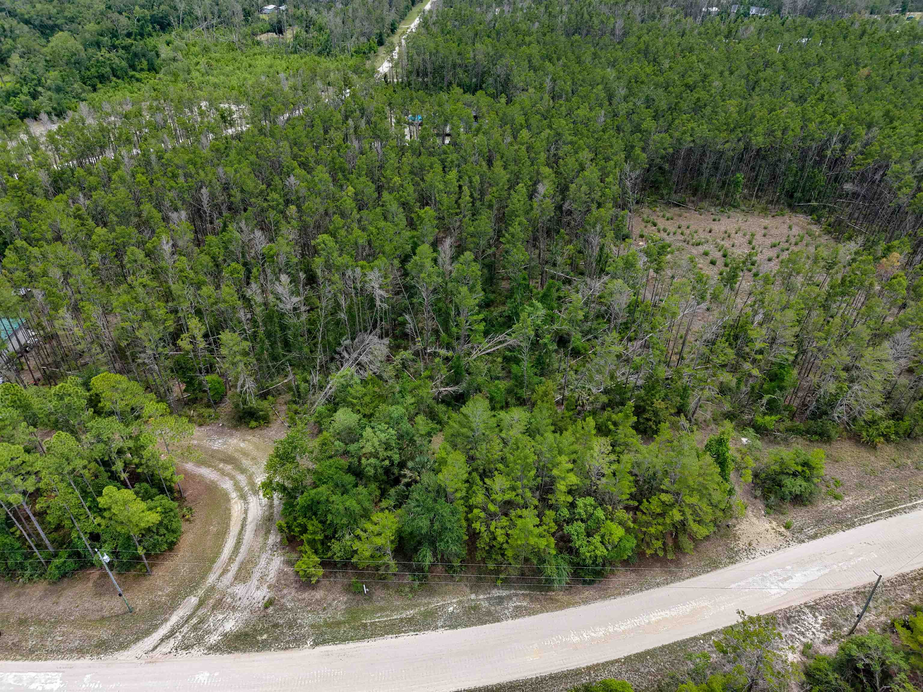 Tbd Ocean Pond Road Perry, FL 32348 - Photo 5 of 21