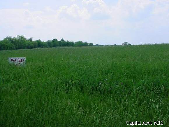 Meadowbrook Road Springfield, IL 62711 - Photo 1 of 1