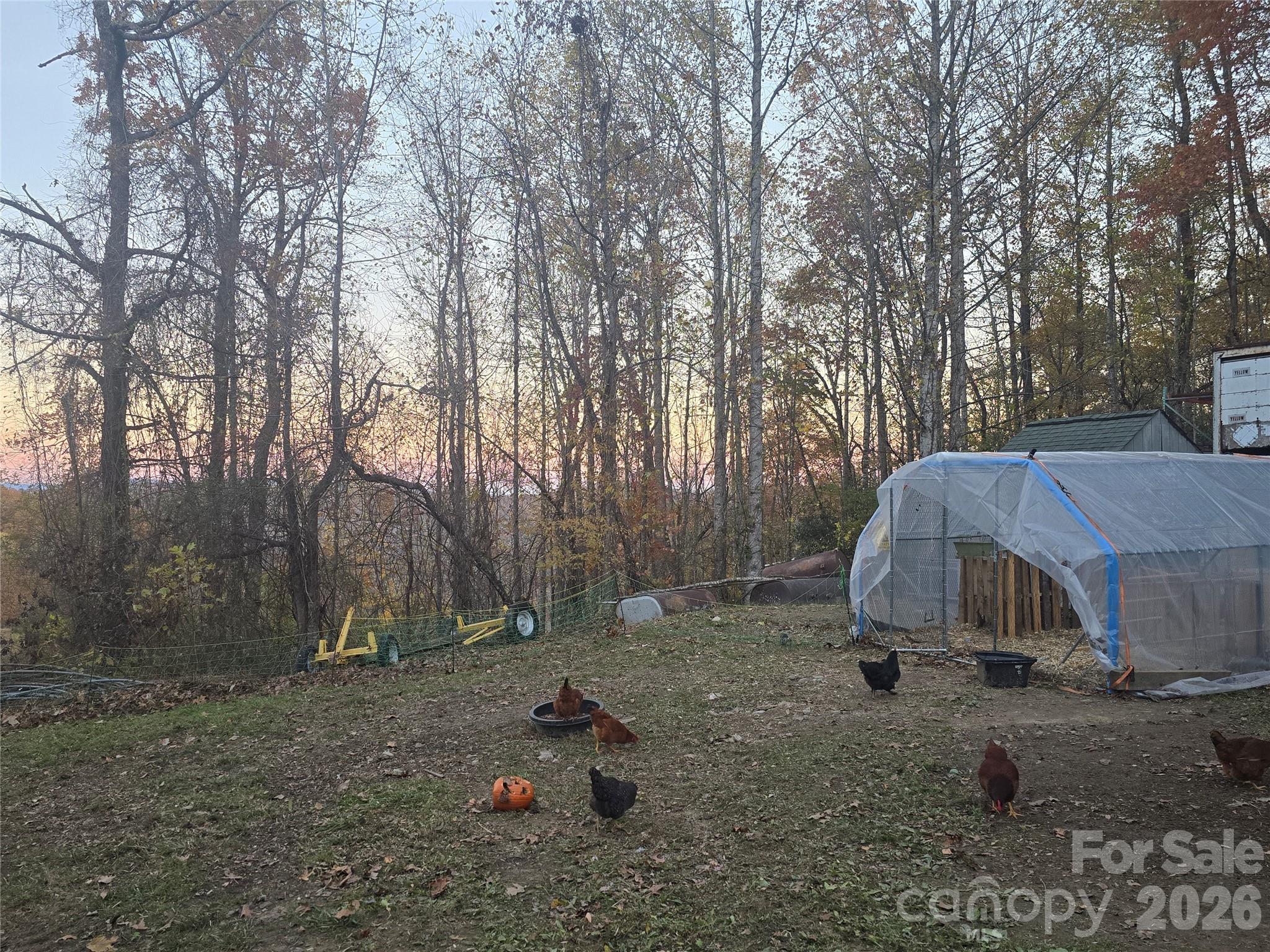 1480 Davis Mountain Road Hendersonville, NC 28739 - Photo 33 of 37