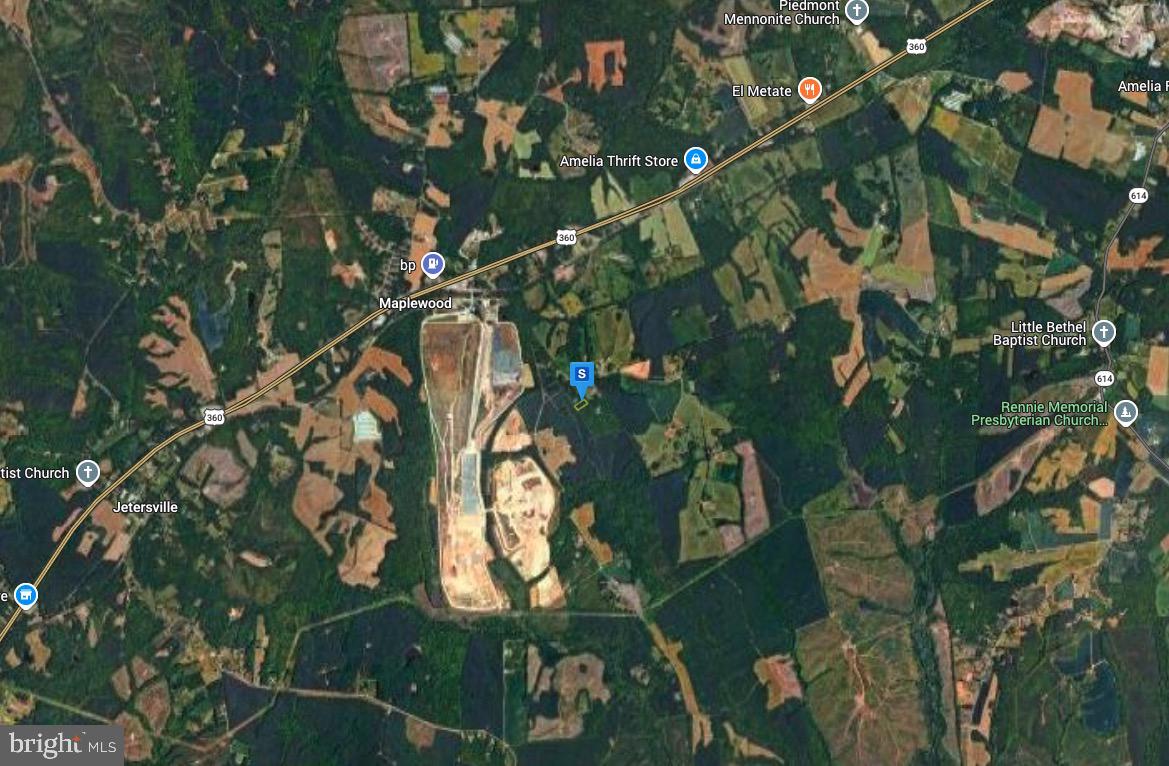 19725 Poor House Road Amelia Court House, VA 23002 - Photo 3 of 4 view of a tree