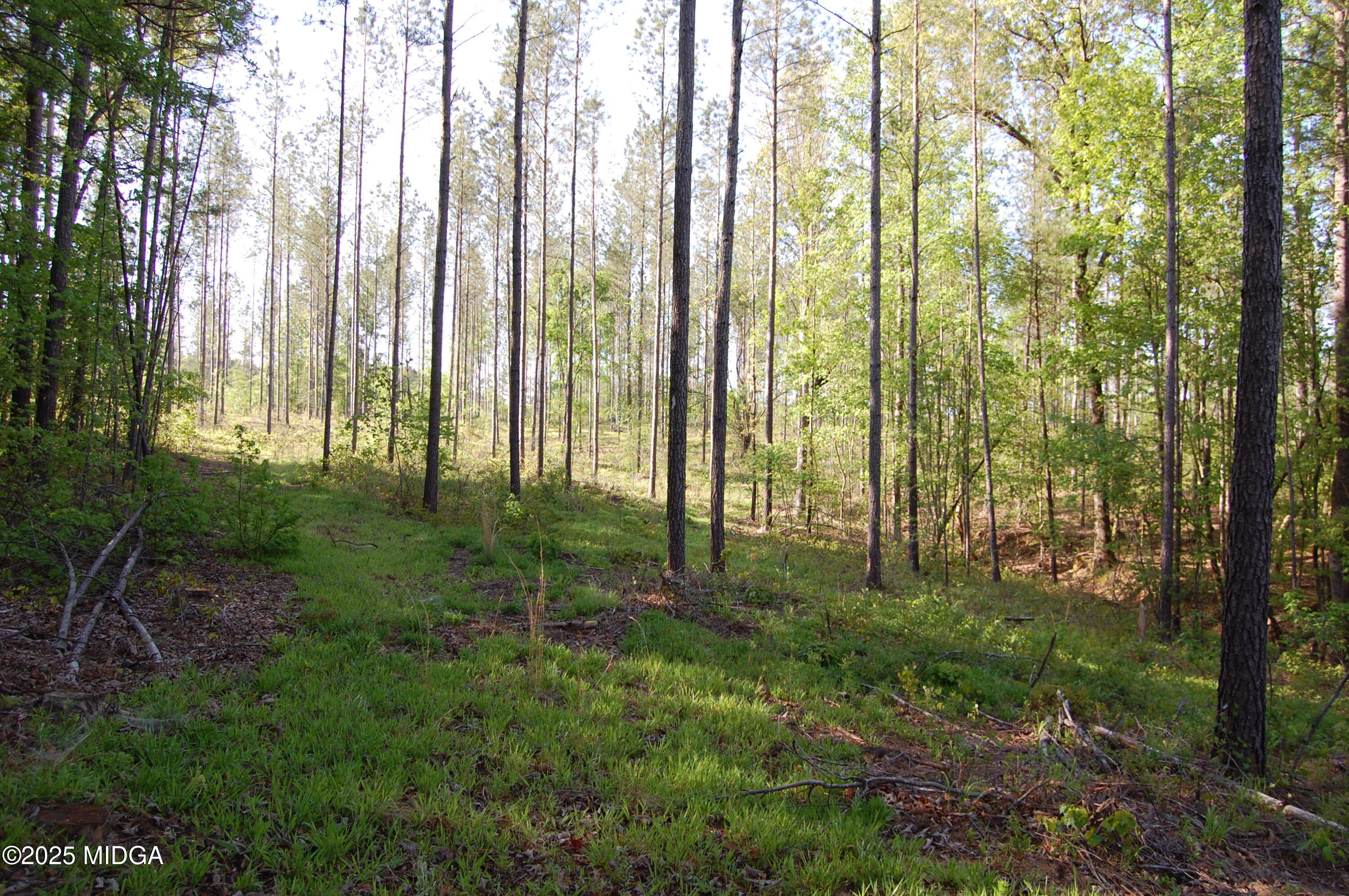 0 Watson Road Forsyth, GA 31029 - Photo 18 of 19 a view of outdoor space and garden